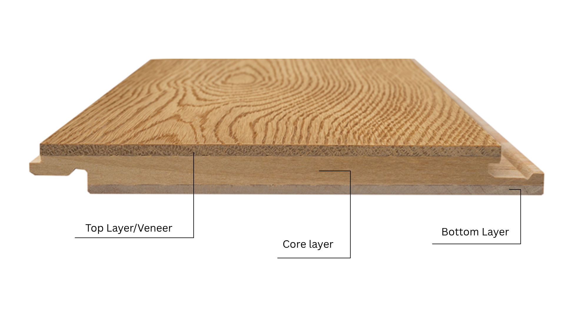 Cross-Section of a 3 layered Engineered Wood Floor
